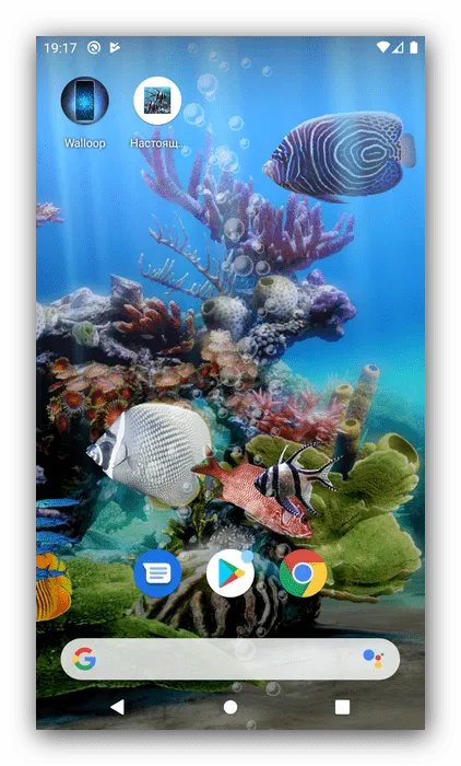 Завершите установку живых обоев в приложении 'Real Aquarium' для Android.