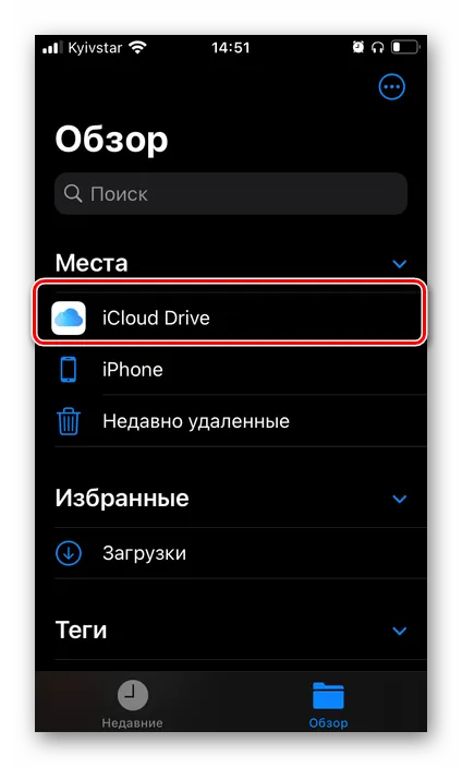 Перейдите к хранилищу iCloud Drive в приложении 