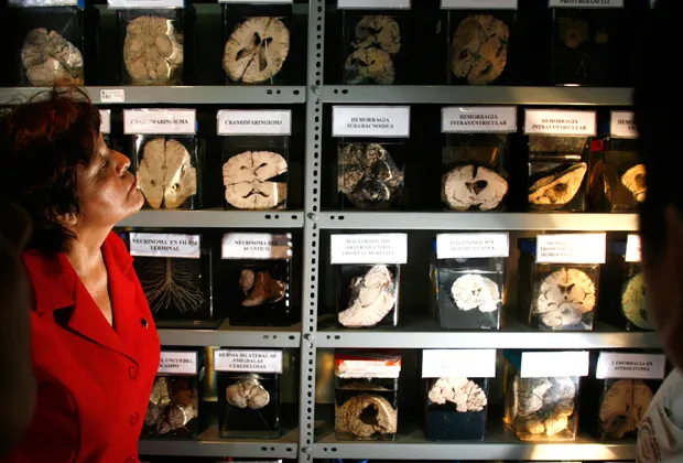 Музей мозга в Лиме, Перу