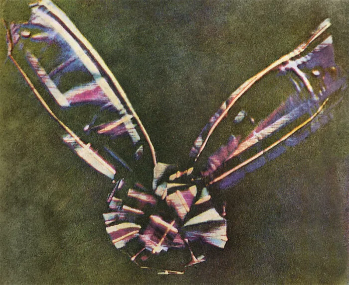 Первый цветной снимок Максвелла (1861 год)
