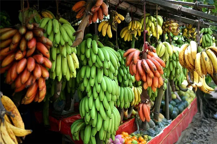 бананы разных сортов