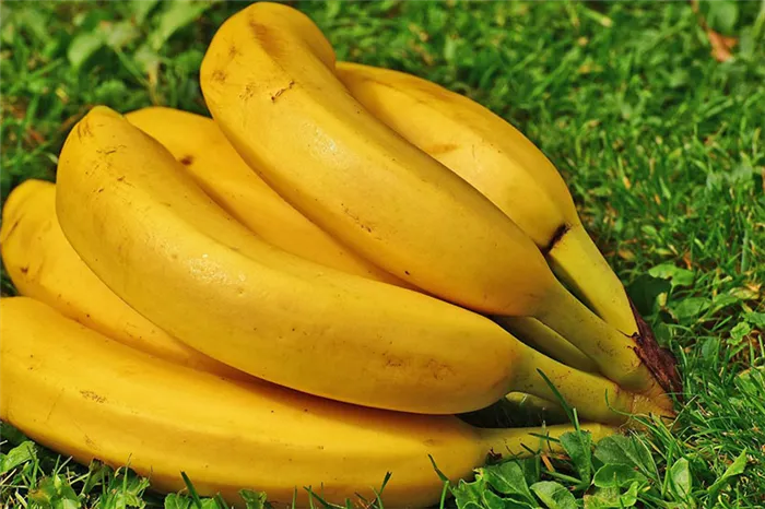 съедобные бананы