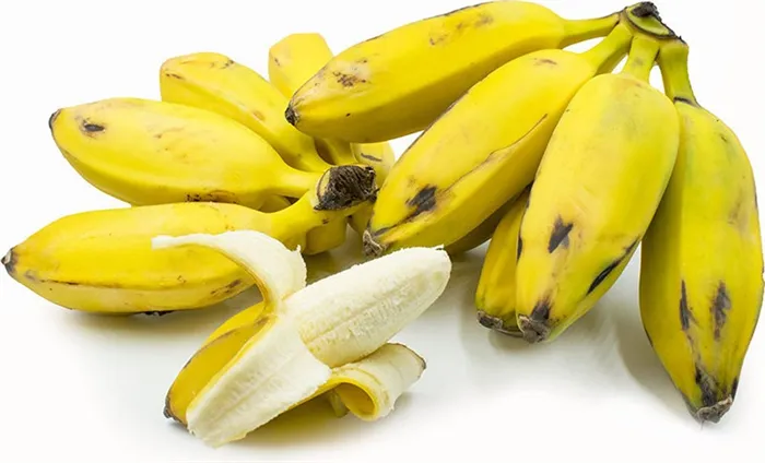 бананы сорта Бурро