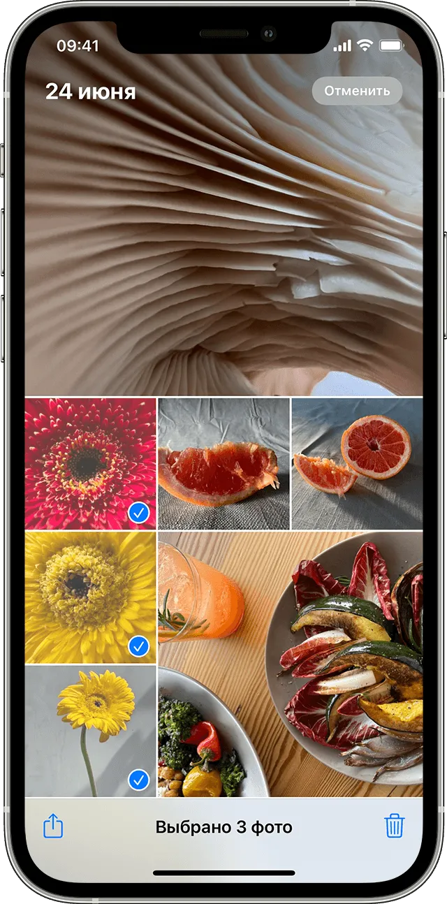Экран iPhone с несколькими фотографиями, выбранными в приложении «Фото»