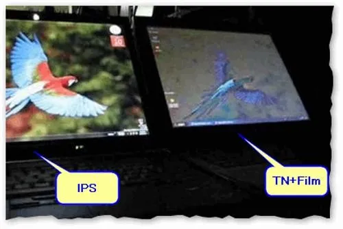 Сравнение IPS экрана с TN plus Film