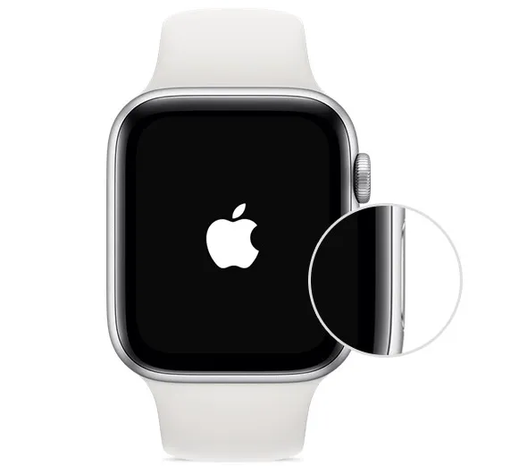 Кнопка включения Apple Watch