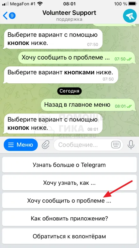 Как кинуть жалобу в Телеграмме на пользователя с iPhone - шаг 3