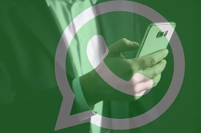 Логотип WhatsApp на фоне смартфона в руке