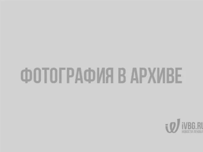 Фото: Гало над Девяткино. Фото: Лилия Крылова