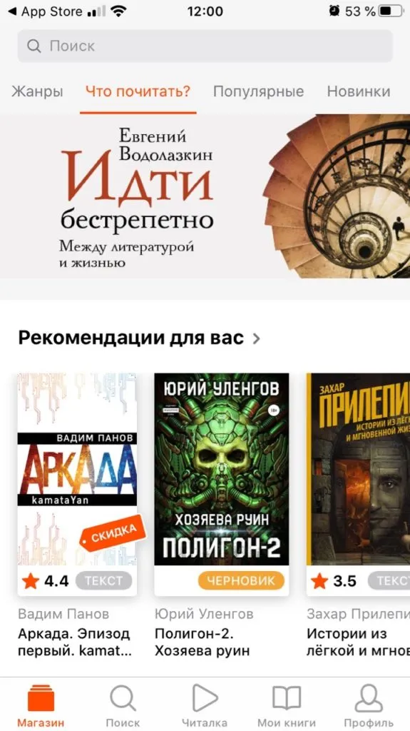 Litres список книг