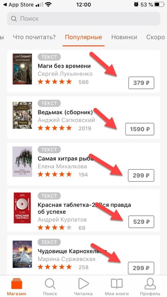 Litres покупка книг