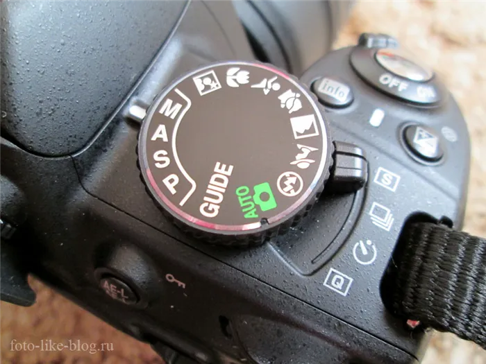Как научиться фотографировать? Nikon d3100