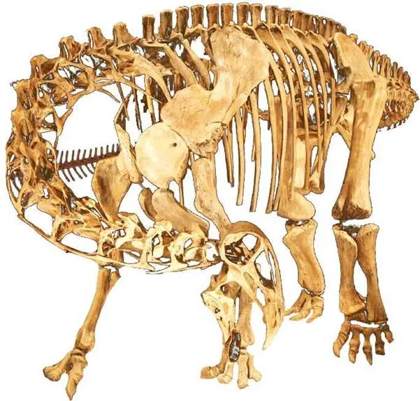 Нигерзавр-скелет