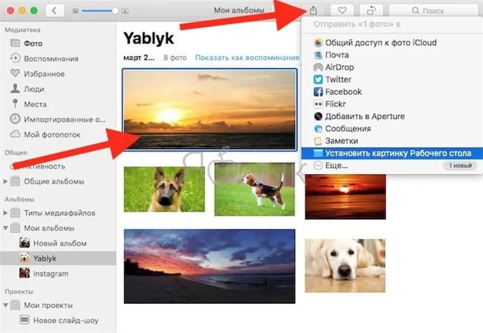 Как поставить из галереи. Как сделать слайд шоу в макбуке. Как поменять обои на макбуке. Как поставить собаку на макбуке. Как сменить обои на макбуке.
